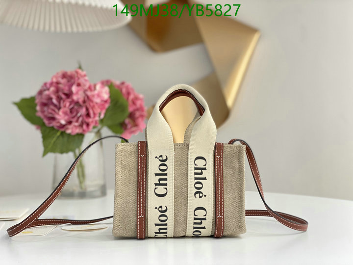 Chloe Bag-(Mirror)-Woody,Code: YB5827,$: 149USD