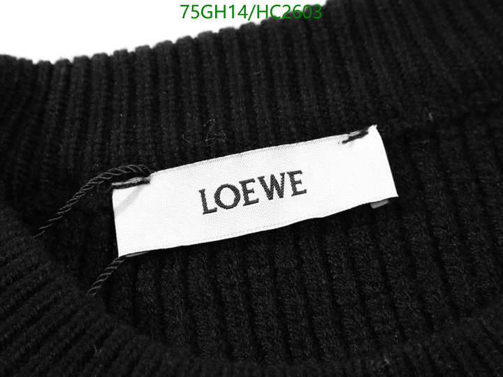 Clothing-Loewe, Code: HC2603,$: 75USD