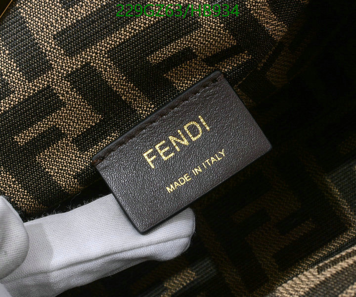 Fendi Bag-(Mirror)-First Series,Code: HB934,$: 229USD