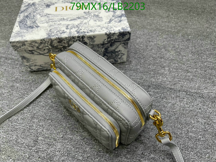 Dior Bags-(4A)-Other Style-,Code: LB2203,$: 79USD