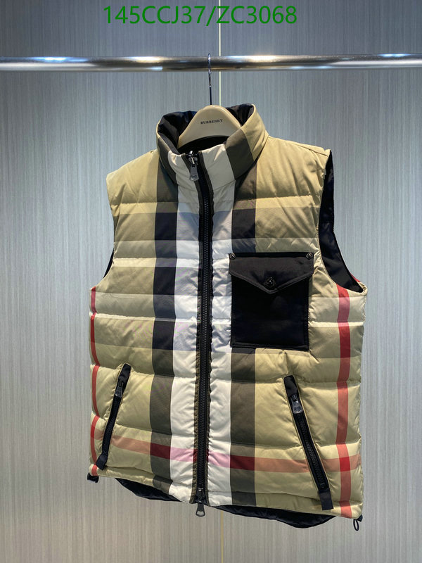 Down jacket Women-Burberry, Code: ZC3068,$: 145USD