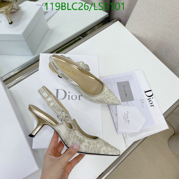 Women Shoes-Dior,Code: LS5101,$: 119USD