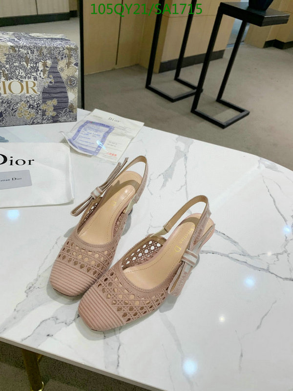 Women Shoes-Dior,Code: SA1715,$: 105USD