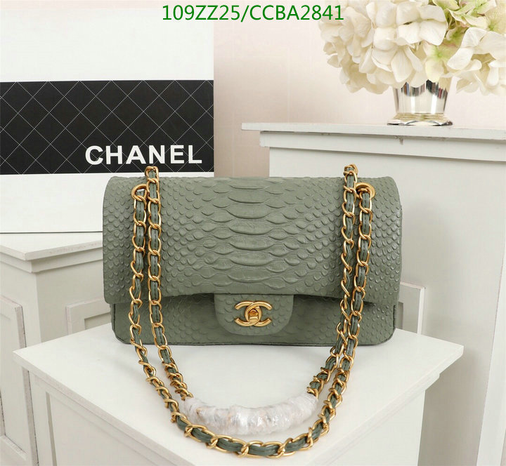 Chanel Bags ( 4A )-Diagonal-,Code: CCBA2841,$: 109USD