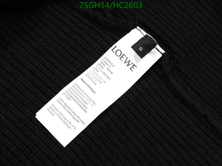 Clothing-Loewe, Code: HC2603,$: 75USD