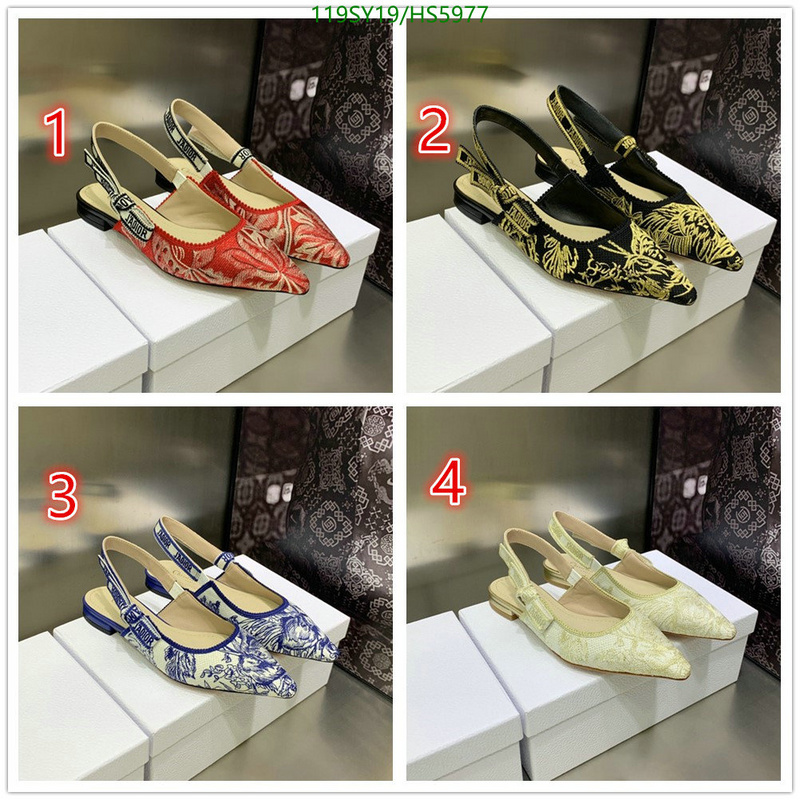 Women Shoes-Dior,-Code: HS5977,$: 119USD