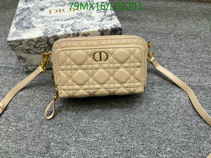 Dior Bags-(4A)-Other Style-,Code: LB2203,$: 79USD