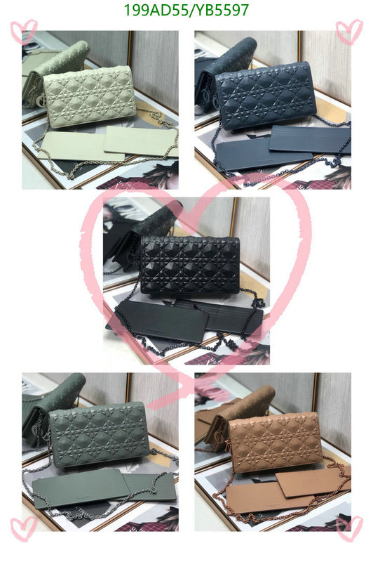 Dior Bags -(Mirror)-Other Style-,Code: YB5597,$: 199USD