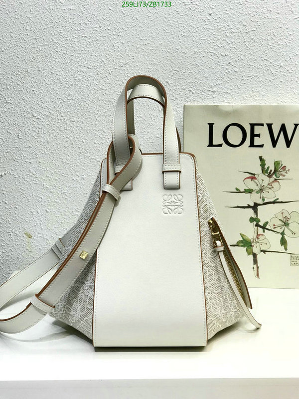 Loewe Bag-(Mirror)-Hammock,Code: ZB1733,$: 259USD