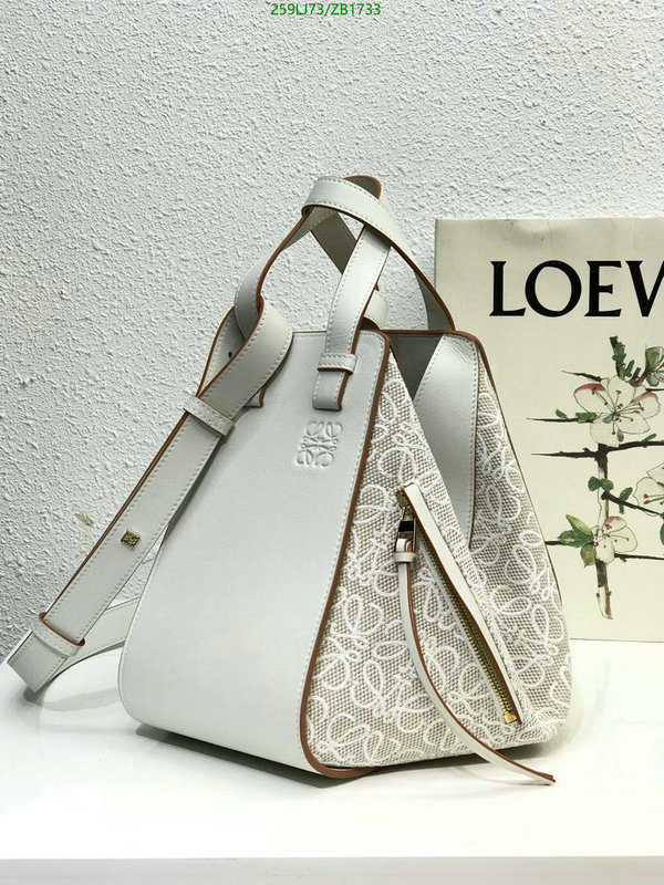 Loewe Bag-(Mirror)-Hammock,Code: ZB1733,$: 259USD