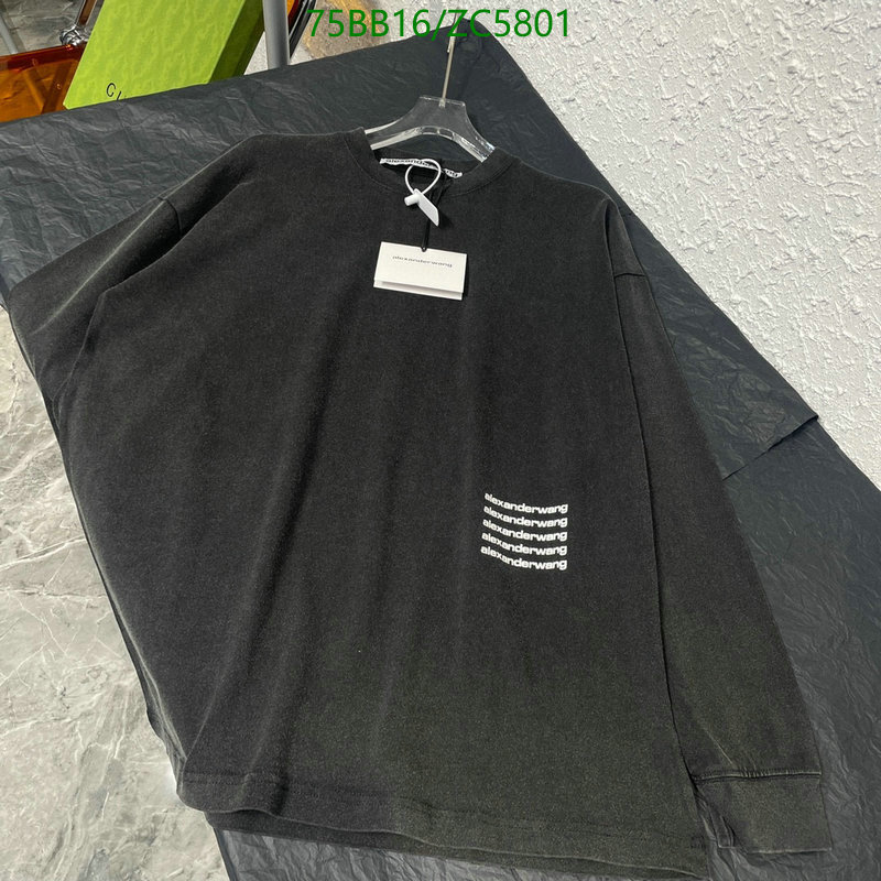 Clothing-Alexander Wang, Code: ZC5801,$: 75USD