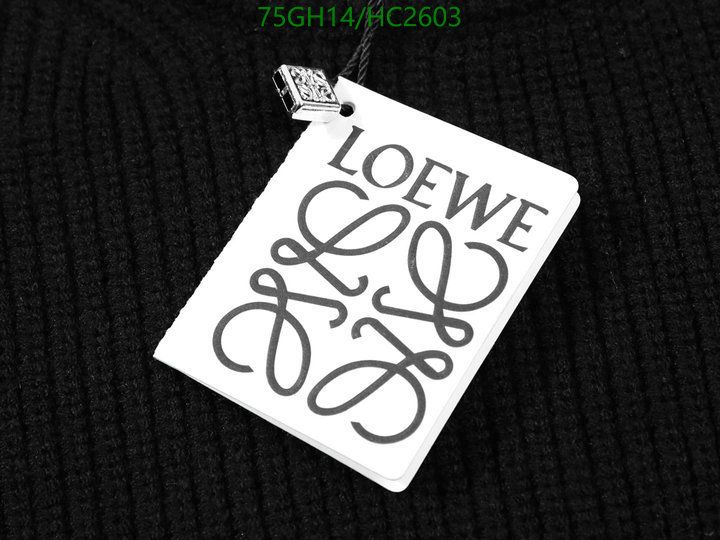 Clothing-Loewe, Code: HC2603,$: 75USD