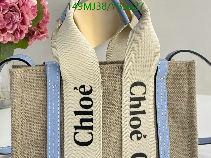 Chloe Bag-(Mirror)-Woody,Code: YB5827,$: 149USD