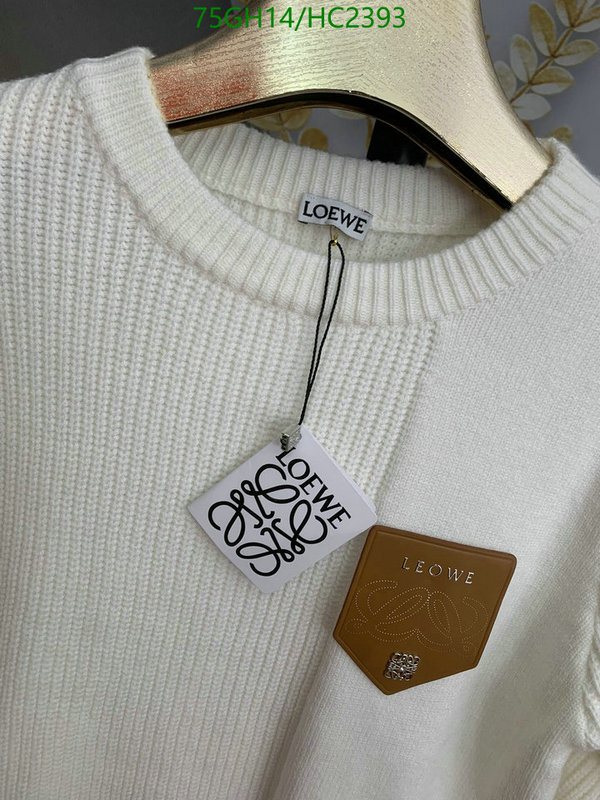 Clothing-Loewe, Code: HC2393,$: 75USD
