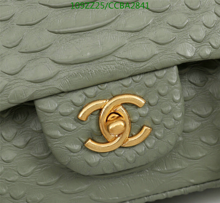 Chanel Bags ( 4A )-Diagonal-,Code: CCBA2841,$: 109USD