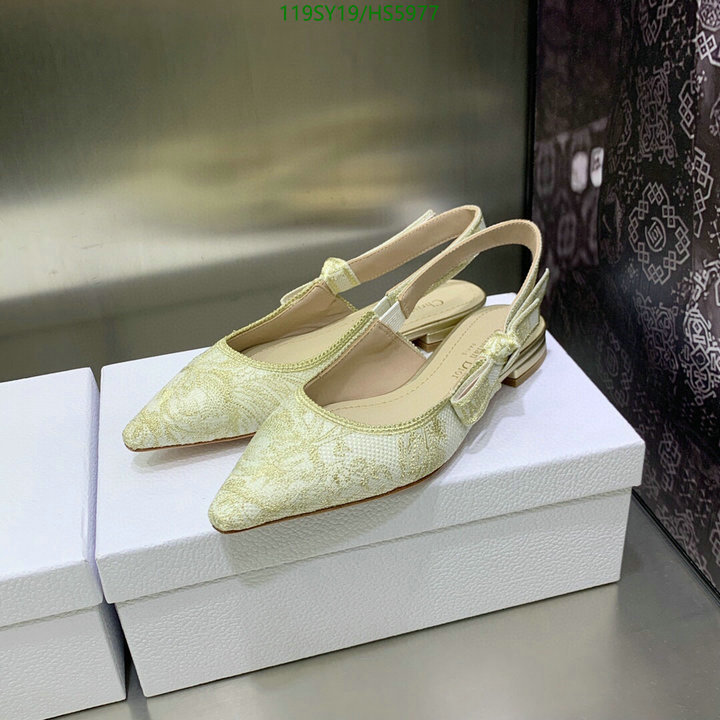 Women Shoes-Dior,-Code: HS5977,$: 119USD