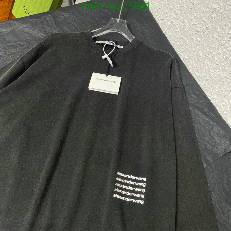 Clothing-Alexander Wang, Code: ZC5801,$: 75USD