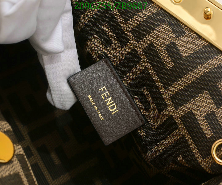 Fendi Bag-(Mirror)-First Series,Code: ZB9687,$: 209USD