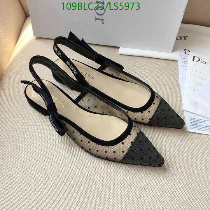 Women Shoes-Dior,Code: LS5973,$: 109USD