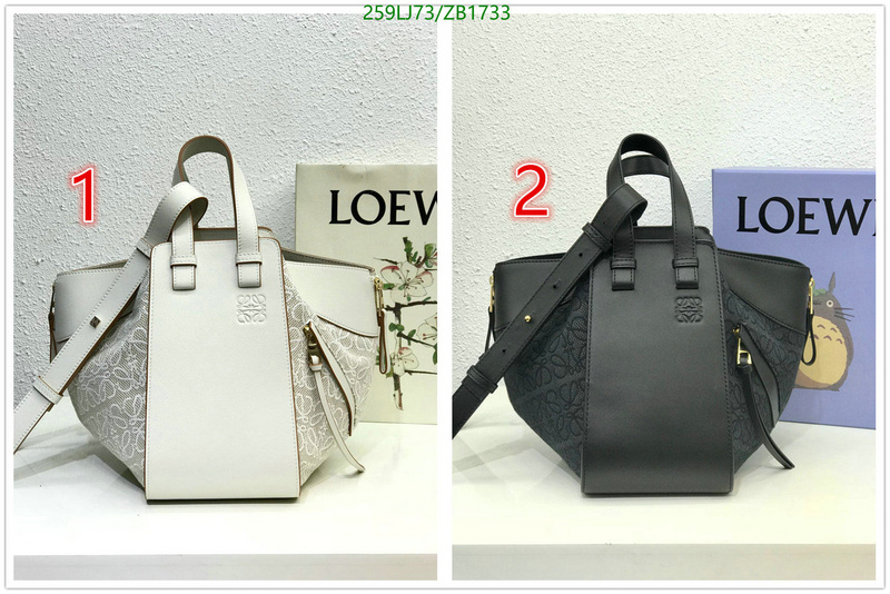 Loewe Bag-(Mirror)-Hammock,Code: ZB1733,$: 259USD