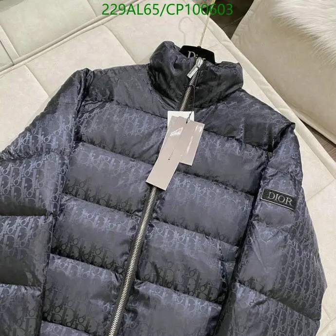 Down jacket Men-Dior, Code: CP100603,$: 229USD