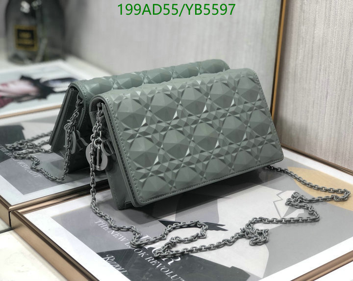 Dior Bags -(Mirror)-Other Style-,Code: YB5597,$: 199USD