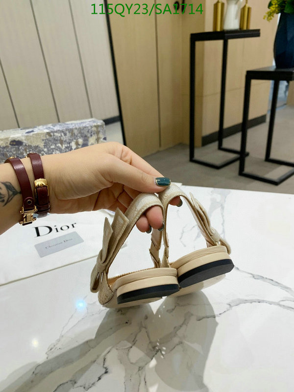 Women Shoes-Dior,Code: SA1714,$: 115USD