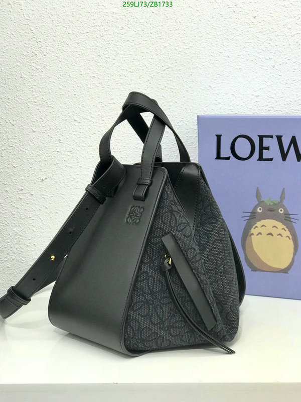 Loewe Bag-(Mirror)-Hammock,Code: ZB1733,$: 259USD