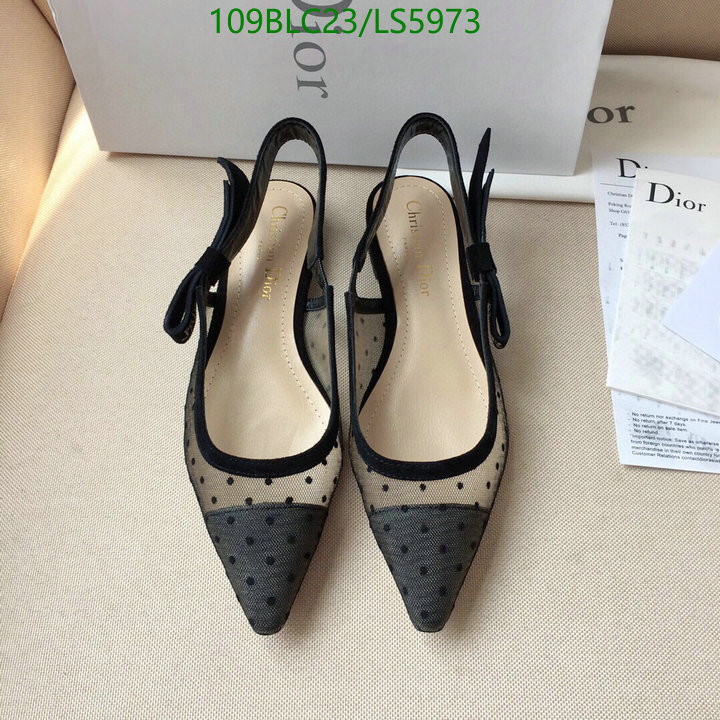 Women Shoes-Dior,Code: LS5973,$: 109USD