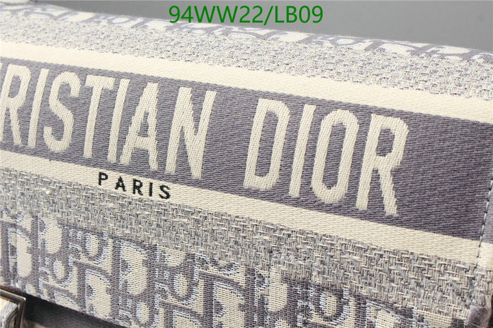 Dior Bags-(4A)-Other Style-,Code: LB09,$: 94USD