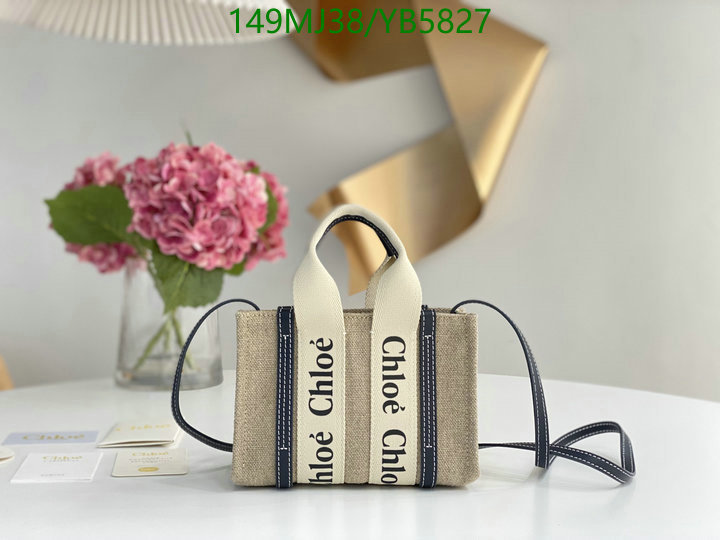 Chloe Bag-(Mirror)-Woody,Code: YB5827,$: 149USD