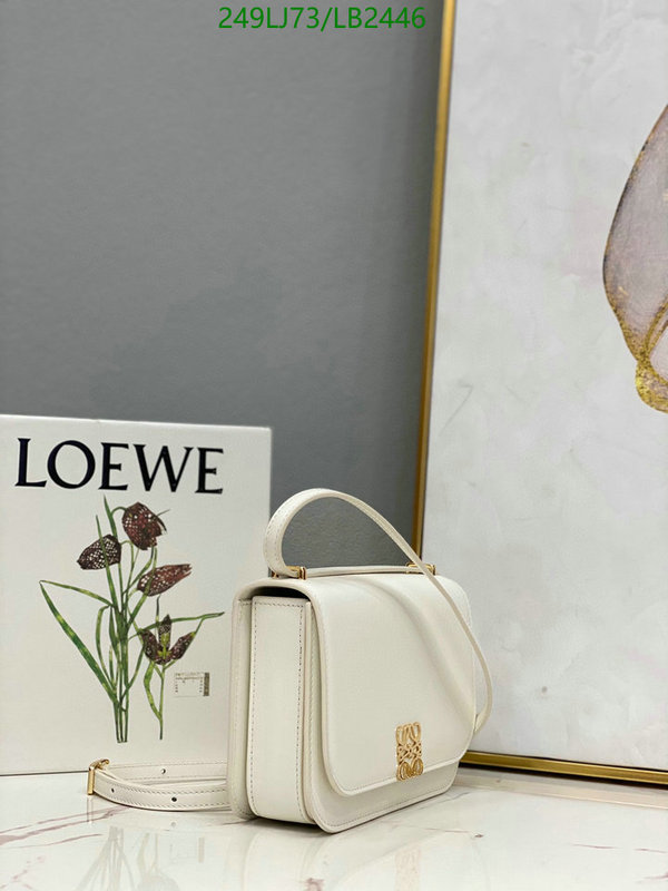 Loewe Bag-(Mirror)-Diagonal-,Code: LB2446,$: 249USD