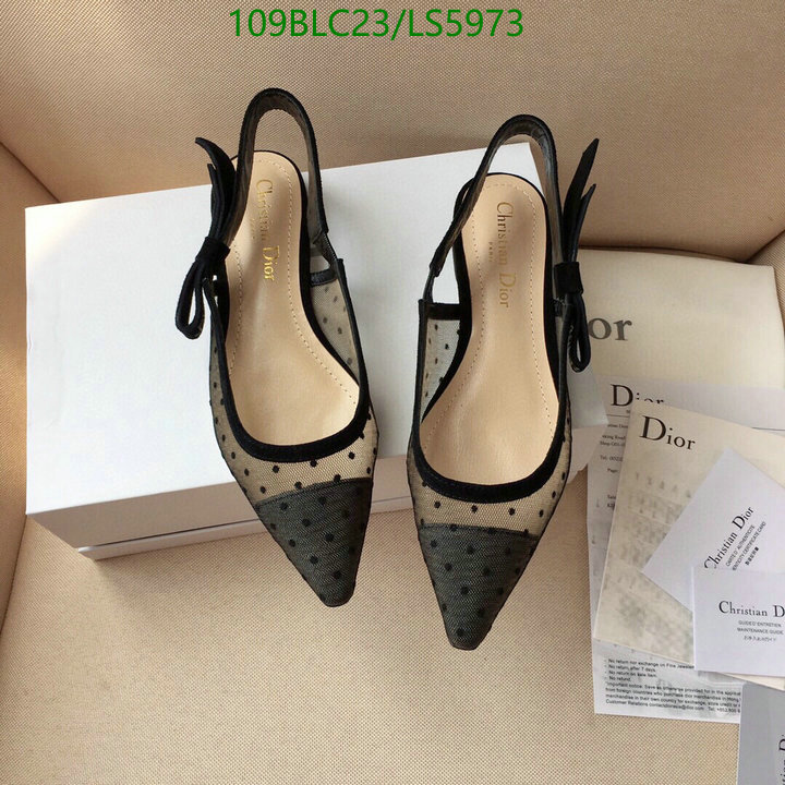 Women Shoes-Dior,Code: LS5973,$: 109USD