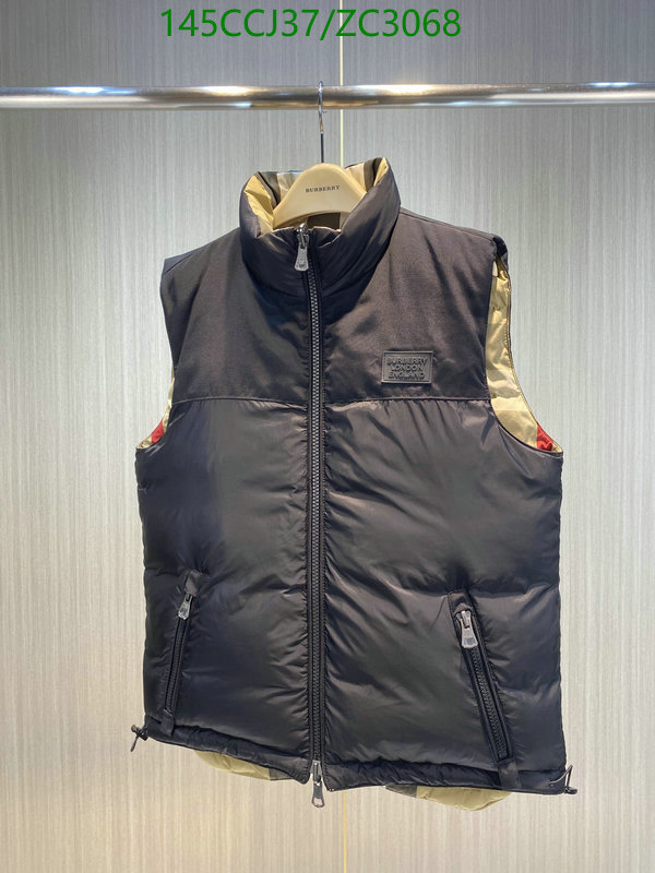 Down jacket Women-Burberry, Code: ZC3068,$: 145USD