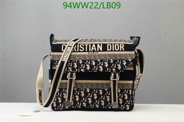 Dior Bags-(4A)-Other Style-,Code: LB09,$: 94USD