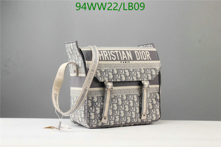 Dior Bags-(4A)-Other Style-,Code: LB09,$: 94USD