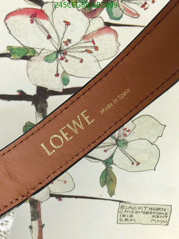 Loewe Bag-(Mirror)-Cubi,Code: LB2699,$: 245USD