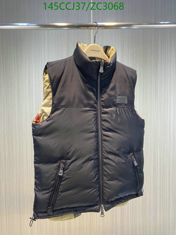 Down jacket Men-Burberry, Code: ZC3068,$: 145USD