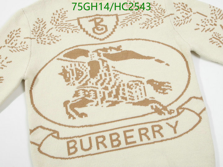 Clothing-Burberry, Code: HC2543,$: 75USD