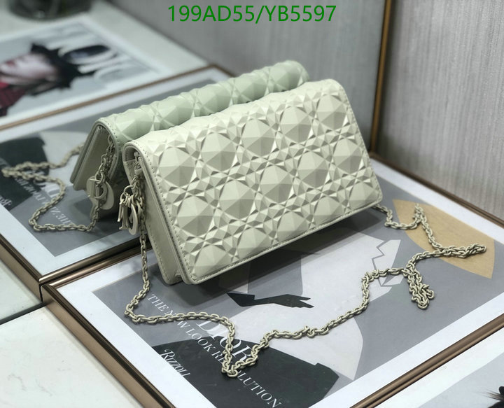 Dior Bags -(Mirror)-Other Style-,Code: YB5597,$: 199USD