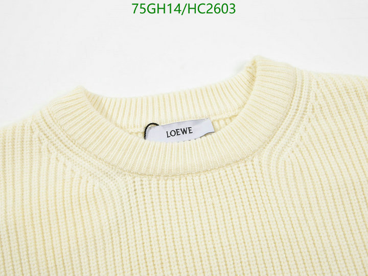 Clothing-Loewe, Code: HC2603,$: 75USD