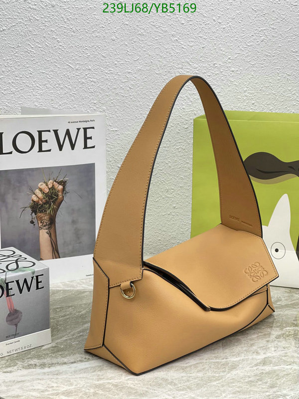 Loewe Bag-(Mirror)-Handbag-,Code: YB5169,$: 239USD