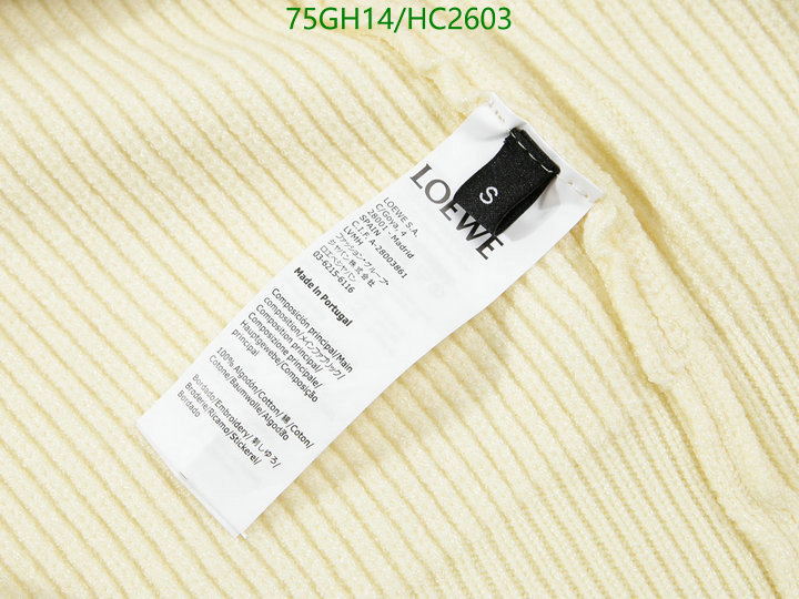 Clothing-Loewe, Code: HC2603,$: 75USD