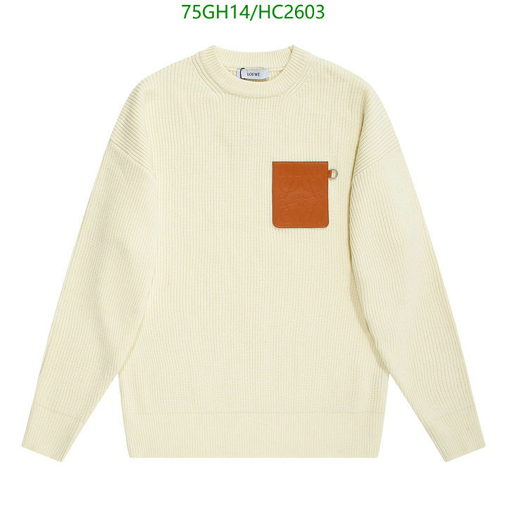 Clothing-Loewe, Code: HC2603,$: 75USD