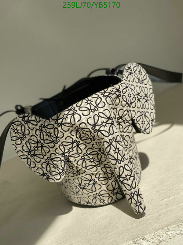 Loewe Bag-(Mirror)-Handbag-,Code: YB5170,$: 259USD