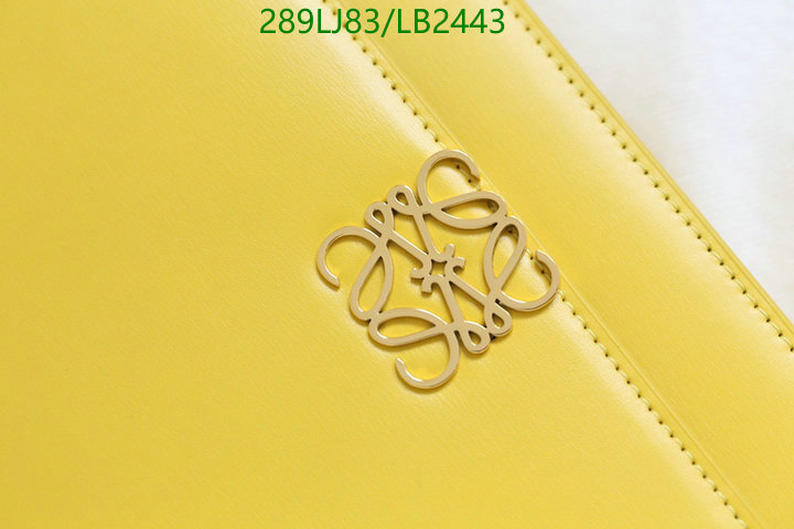 Loewe Bag-(Mirror)-Diagonal-,Code: LB2443,$: 289USD