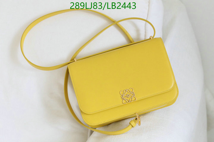 Loewe Bag-(Mirror)-Diagonal-,Code: LB2443,$: 289USD