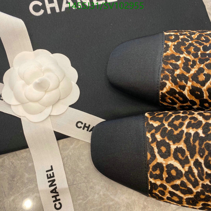 Women Shoes-Chanel Code: SV102955 $: 145USD