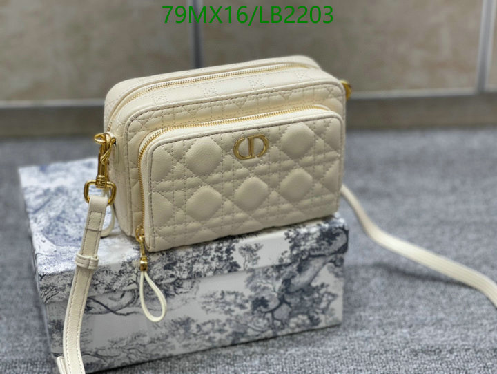 Dior Bags-(4A)-Other Style- Code: LB2203 $: 79USD