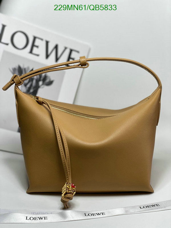 Loewe Bag-(Mirror)-Cubi Code: QB5833 $: 229USD